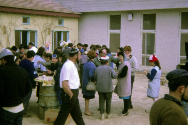 Members of Bnei Akiva arrive at Kibbutz Lavi on Hachshara in 1967